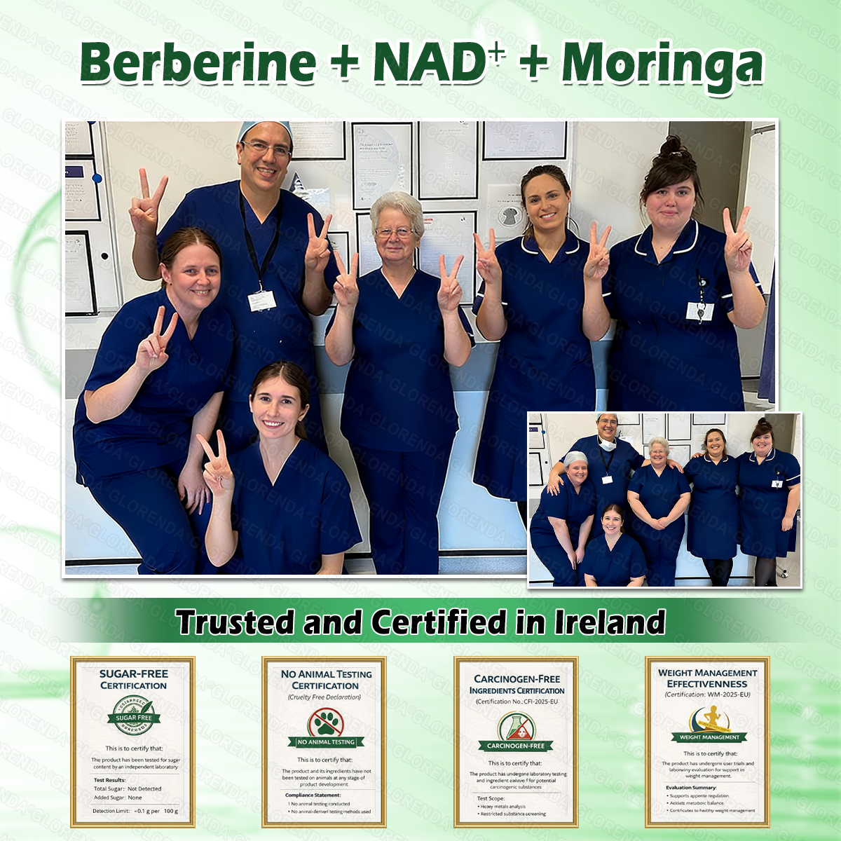 Official Store | GLORENDA Moringa Berberine NAD Plus Ten in One Advanced Nano Microneedle Patch