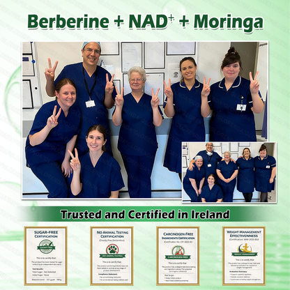 Official Store | GLORENDA Moringa Berberine NAD Plus Ten in One Advanced Nano Microneedle Patch